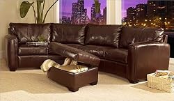 Jade Leather Sectional Sofa By Coaster Furniture With Silver Shipping