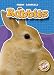 Book Rabbits