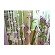 Pearl & Crystal Beaded Ribbon Curtain