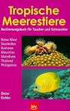  : Tropische Meerestiere