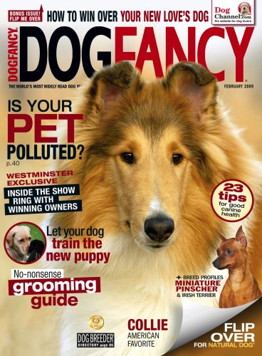 Dog Fancy (1-year)