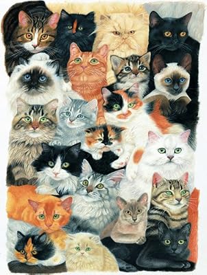 Cat Collage 300pc Jigsaw Puzzle by Avril Haynes