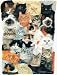 Cat Collage 300pc Jigsaw Puzzle by Avril Haynes