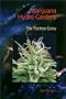 Marijuana Hydro Gardens: The Techno Grow