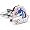 Boise State Broncos