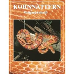 Kornnattern