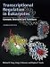 Transcriptional Regulation in Eukaryotes: Concepts, Strategies, and Techniqes