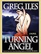 Turning Angel: A Novel