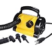 Airhead 120V Canister Air Pump