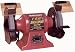 Tradesman 7060 1/3 HP Bench Grinder