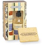 Kitchen Starter Set - Lavender Pine by Caldrea