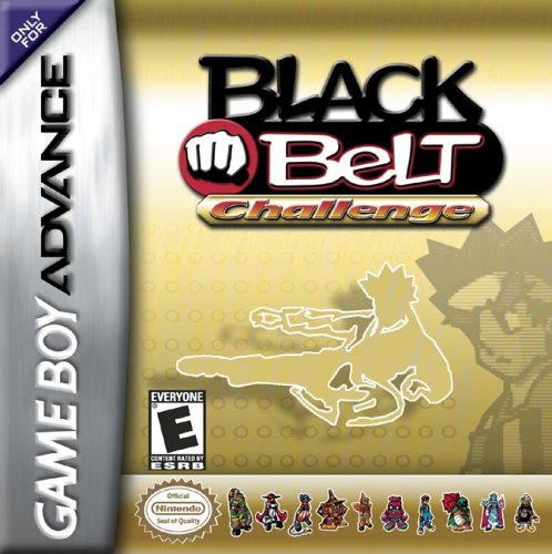 Childrens Toyshop  Video Games : Black Belt Challenge