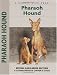Pharaoh Hound (Kennel Club Dog Breed Series)