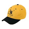 NFL Men's End Zone Retro Logo Wool Cap - N108Z (Pittsburgh Steelers, One Size Fits All)