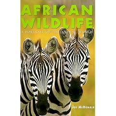 African Wildlife (Portrait of the Animal World)
