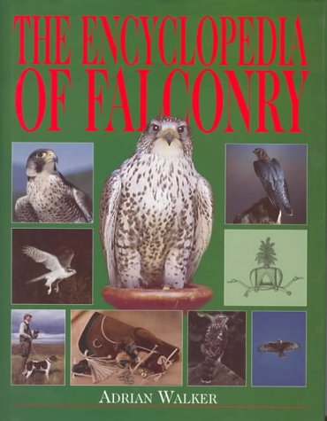 Falconry