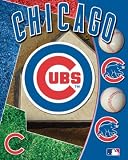 Chicago Cubs 3D Motion Poster 8x10