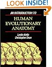An Introduction to Human Evolutionary Anatomy