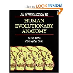 An Introduction to Human Evolutionary Anatomy