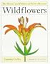 The History and Folklore of North American Wildflowers