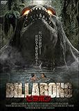 BILLABONG ビラボン [DVD]
