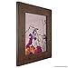 Craig Frames FM74DKW 5 by 7-Inch Picture Frame, Smooth Finish, 2-Inch Wide, Dark Brown