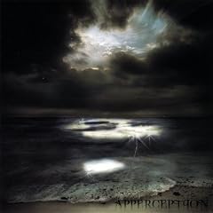 Apperception