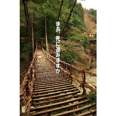 メッセージ入りポストカード「まあ、先に進みますか」吊り橋ハガキpostcard-photo by 絶景.com