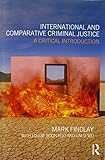 International and comparative criminal justice : a critical introduction
