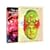 Tim and Eric Awesome Show, Great Job!: Seasons 1 & 2