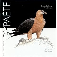 Gypa�te