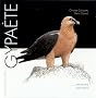 Gypa�te