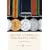 British Campaign Medals, 1914-2005 (Shire Album)