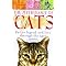 House cats - Tiny tigers!!