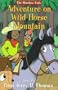 Adventure on Wild Horse Mountain (The Shoebox Kids)