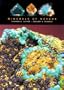Minerals Of Nevada