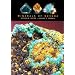 Minerals Of Nevada