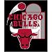 Chicago Bulls NBA Royal Plush Raschel Blanket (700 Series) (50x60)