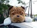 GIANT JUMBO 36" STUFFED BULLDOG BIG PLUSH SQUISHY SOFT ENORMOUS HIGH QUALITY DOG