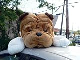 GIANT JUMBO 36
