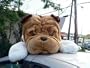 GIANT JUMBO 36" STUFFED BULLDOG BIG PLUSH SQUISHY SOFT ENORMOUS HIGH QUALITY DOG