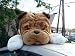 GIANT JUMBO 36 STUFFED BULLDOG BIG PLUSH SQUISHY SOFT ENORMOUS HIGH QUALITY DOG