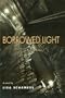 Borrowed Light: A Novel