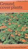 Ground cover plants