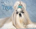 Just Shih Tzus 2007 Calendar