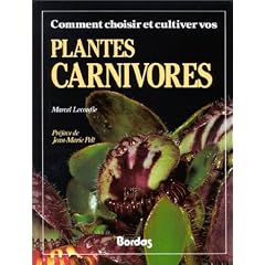 Comment choisir et cultiver vos plantes carnivores