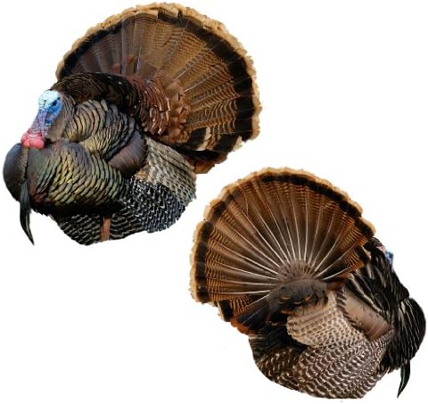 Montana Decoy Mr T 2D Strutter Decoy
