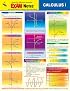 EXAMNotes for Calculus I (EXAMNotes)