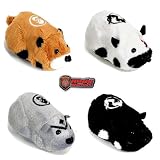 Kung Zhu Battle Hamster - Ninja Warrior Set of 4 (Drayko, Azer, Yama and Thorn)