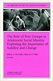 The Role of Peer Groups in Adolescent Social Identity: Exploring the Importance of Stability & Change: New Directions for Child and Adolescent Development ... Single Issue Child & Adolescent Development)